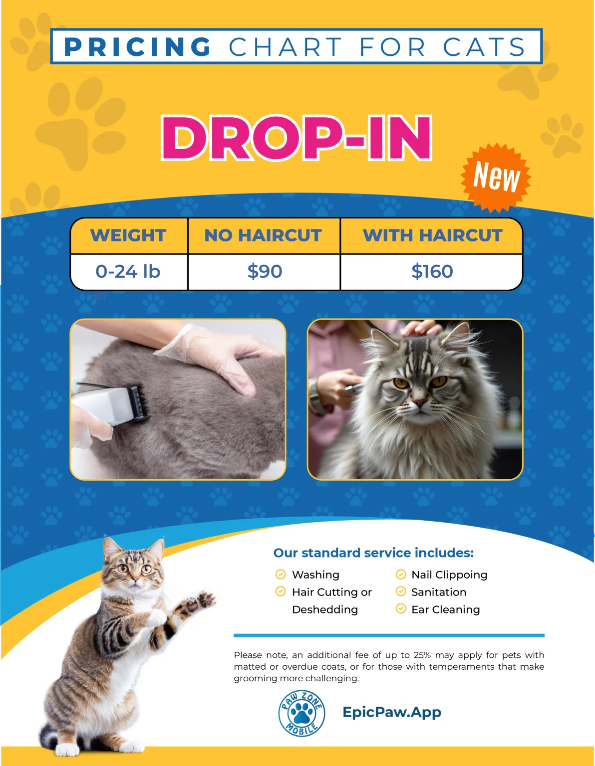 Cat Grooming in Santa Rosa